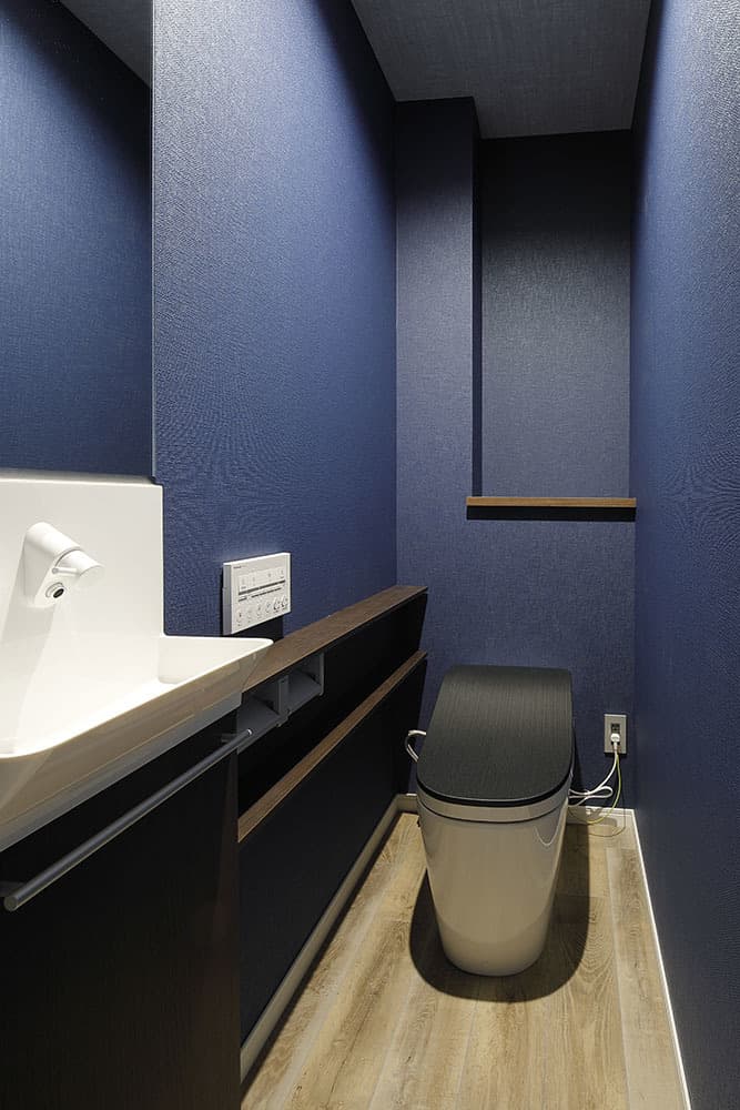 toilet.jpg